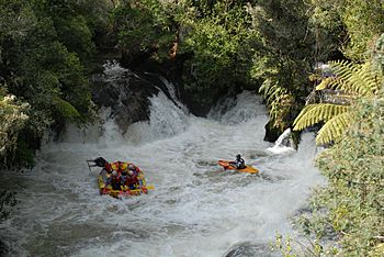 Kaituna River Rafting 16.jpg