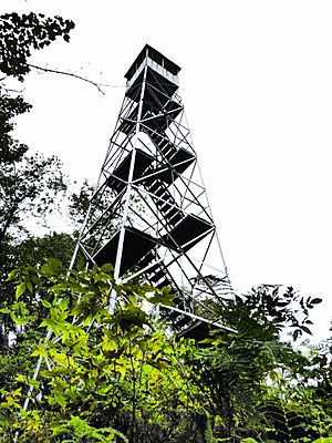 Kane Mountain Fire Lookout Tower