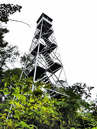 Kane Mountain Fire Lookout Tower.JPG