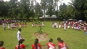 Karam Festival in Assam
