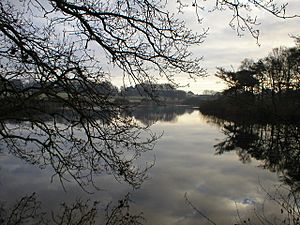 Lake known as Hopton 3 - geograph.org.uk - 157784.jpg