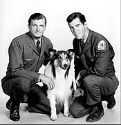 Lassie 1969
