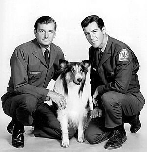 Lassie 1969