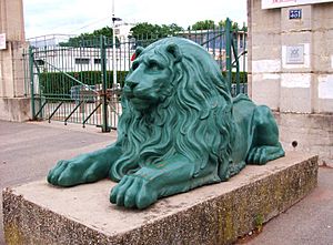 Lion devant l'entrée du stade de Gerland