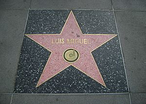 Luis Miguel Hollywood Star