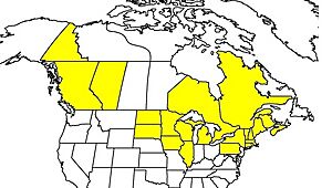 Map of northern parts of North America showing the range of Bombus ternarius