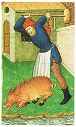 Medieval pig slaughter