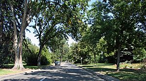 Monaco Street Parkway