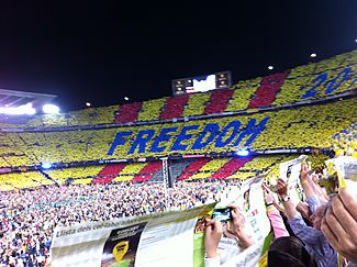Mosaic del Concert per la Llibertat.jpg