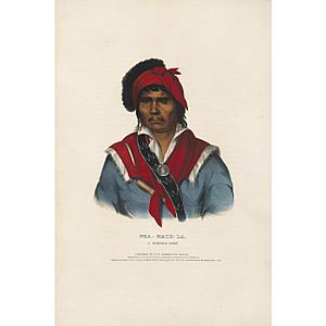 Nea-Math-La, A Seminole Chief.jpg