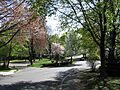 Park Avenue, Wakefield MA
