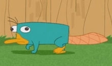 Perry Platypus