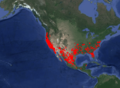 PhoradendronleucocarpumOccurrenceMap2
