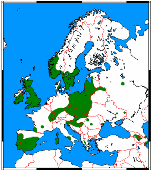 Pipistrellus pygmaeus range map.png