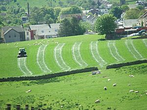 Putting stripes on it. - geograph.org.uk - 434345