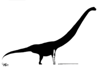 Rhomaleopakhus skeletal.png