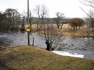 River Ardle - geograph.org.uk - 142613