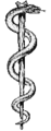 Rod of asclepius