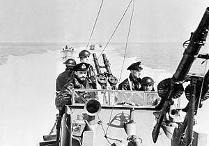 Royal Navy Motor Torpedo Boats on patrol, 1940. A60
