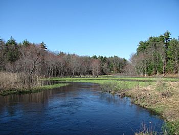 Salmon Brook looking downstream, Dunstable MA.jpg