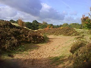 Sandy path Kersal Moor