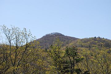 Shenandoah Mountain - High Knob.jpg