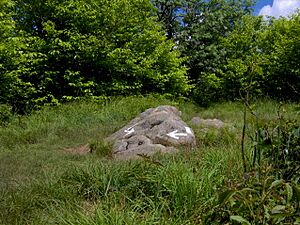 Silers-bald-summit2