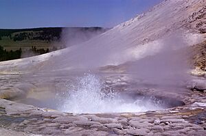 SulphurSpring1963Johnsson