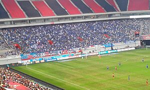 Suwon Samsung Bluewings supporters' groups of Super Match