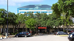 The Arboretum Shops Amid Trees 2020