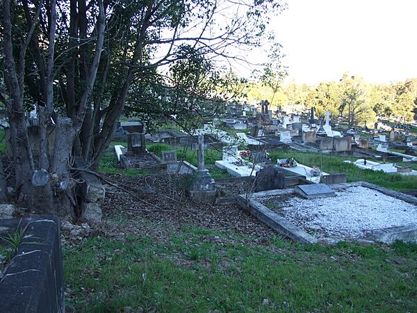 Toowong Cemetery 7