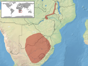 Trachylepis punctatissima distribution.png