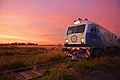 Train in Argentina at Sunset
