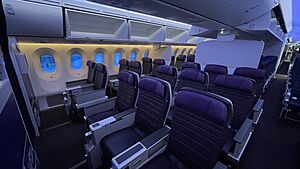 United Premium Plus seat on a 787