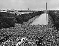 View of Crowd at 1963 March on Washington