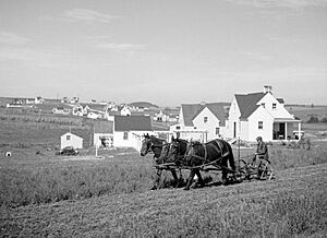View of Westmoreland Homesteads September 1936
