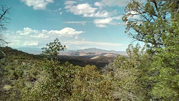 View of the Blackjack Mountains, AZ from a distance.jpg