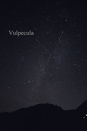 VulpeculaCC