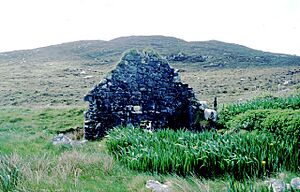 Watermill ruin - geograph.org.uk - 75677