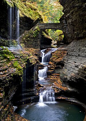 Watkins Glen by Peter Rivera
