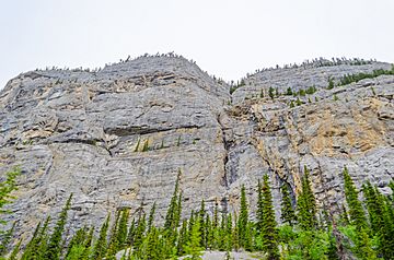 Weeping Wall viewed from Icefields Parkway.jpg