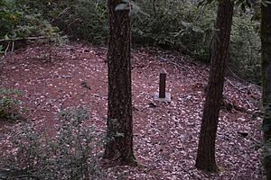 Wheeler Ridge Japanese Bomb Site (Brookings, Oregon)