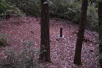 Wheeler Ridge Japanese Bomb Site (Brookings, Oregon).jpg
