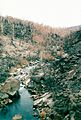 2003 Bushfires aftermath, Bundara River near Anglers Rest