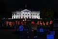 2018.11.07 Protect Muller at the White House, Washington, DC USA 07796 (45054718404)