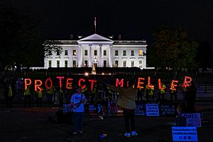 2018.11.07 Protect Muller at the White House, Washington, DC USA 07796 (45054718404)