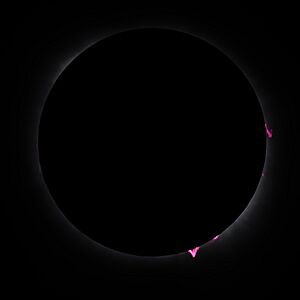 2024 Solar Eclipse Prominences