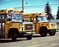 2GMBBCV200schoolbuses.jpg