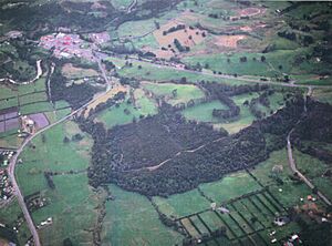 Albany site aerial - 1989 - scan from Feasibility Study