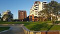 Amey Daldy Park, Wynyard Quarter